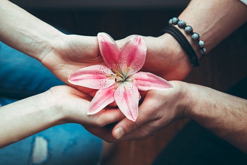 couples hands holding a flower.